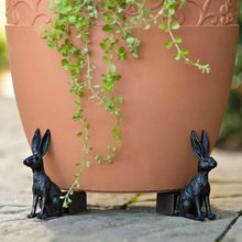 Load image into Gallery viewer, Fanshome Cute Animal Shaped Potty Feet (Set of 3)