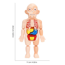 Load image into Gallery viewer, Children's Enlightenment Toys