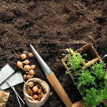 Load image into Gallery viewer, Garden Marker Friendship Gift