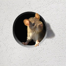 Load image into Gallery viewer, Realistic 3D Mouse Hole Wall Stickers