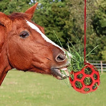 Load image into Gallery viewer, Horse Treat Ball