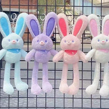 Load image into Gallery viewer, Pull The Rabbit