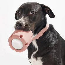 Load image into Gallery viewer, 🐶🐱Tennis Tumble Puzzle Toy