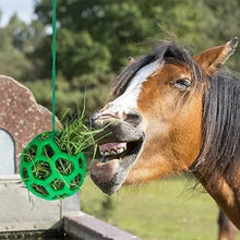 Load image into Gallery viewer, Horse Treat Ball