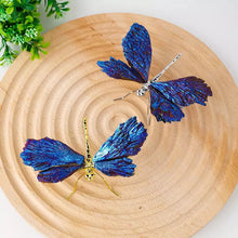 Load image into Gallery viewer, AURA TOURMALINE KYANITE DRAGONFLY