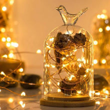 Load image into Gallery viewer, Solar Fairy String Light