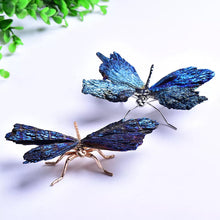 Load image into Gallery viewer, AURA TOURMALINE KYANITE DRAGONFLY