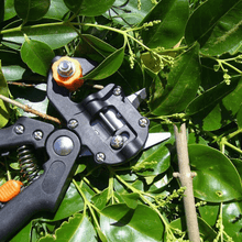 Load image into Gallery viewer, Professional Garden Grafting Tool Kit