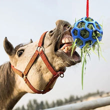Load image into Gallery viewer, Horse Treat Ball