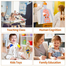 Load image into Gallery viewer, Children's Enlightenment Toys