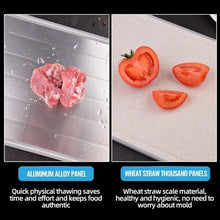Load image into Gallery viewer, Quick Defrost Tray