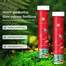 Load image into Gallery viewer, Home Gardening Universal Slow-Release Tablet Organic Fertilizer