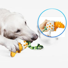 Load image into Gallery viewer, Dinosaur Eggs Dog Chew Toys