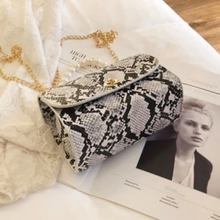 Load image into Gallery viewer, Luxury Designer Wild Serpentine Small Square Crossbody Bags