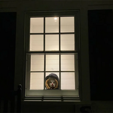 Load image into Gallery viewer, Scary Peeper Creeper
