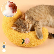 Load image into Gallery viewer, Cat Lovely Cozy Pillow