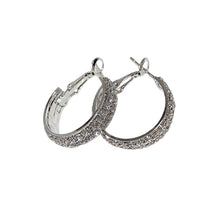 Load image into Gallery viewer, Sparkle Small Hoop Earrings