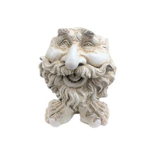 Load image into Gallery viewer, Funny Expression Flowerpot