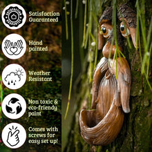 Load image into Gallery viewer, Unique Bird Feeders