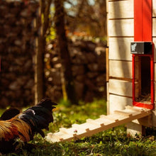 Load image into Gallery viewer, Poultry Farm Automatic Chicken House Door