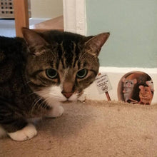 Load image into Gallery viewer, Realistic 3D Mouse Hole Wall Stickers