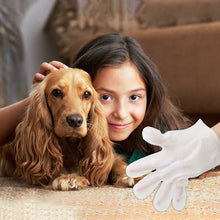 Load image into Gallery viewer, Pet Clean Wash-Free Gloves